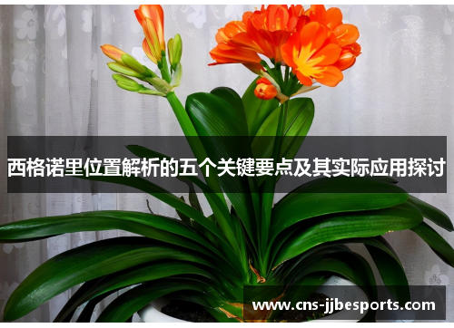 西格诺里位置解析的五个关键要点及其实际应用探讨